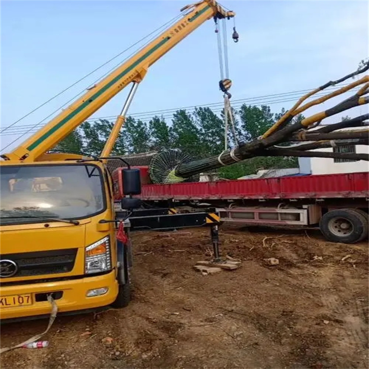 总口管理区100吨吊车租赁费用怎么算？3大关键因素+省钱技巧全解析